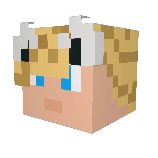 BedlinSk Minecraft avatar head, 3D render