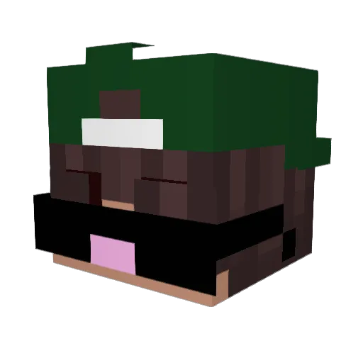 Bednass Minecraft avatar head, 3D render
