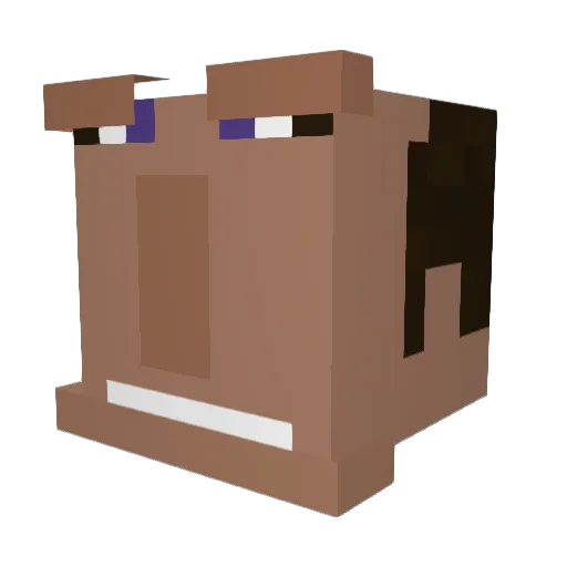 Bedo3452 Minecraft avatar head, 3D render