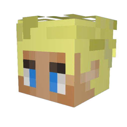BedrockWaffle Minecraft avatar head, 3D render