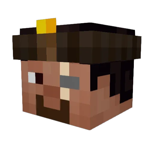 Bedrocker8586 Minecraft avatar head, 3D render