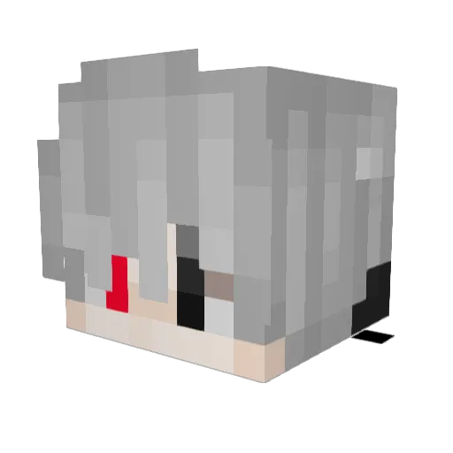 Bedu_Gamer Minecraft avatar head, 3D render