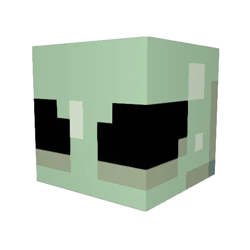 BedwarsPro114514 Minecraft avatar head, 3D render