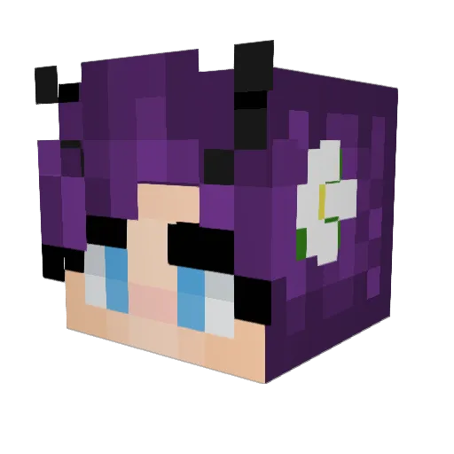 Bee0082 Minecraft avatar head, 3D render