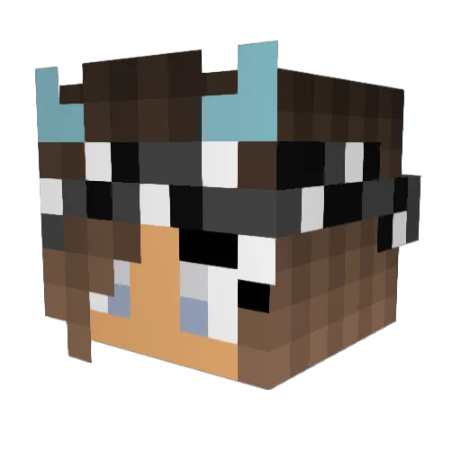 Bee16 Minecraft avatar head, 3D render