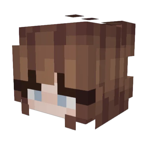 Bee2127 Minecraft avatar head, 3D render