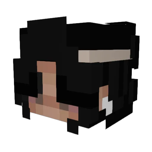 Bee212 Minecraft avatar head, 3D render