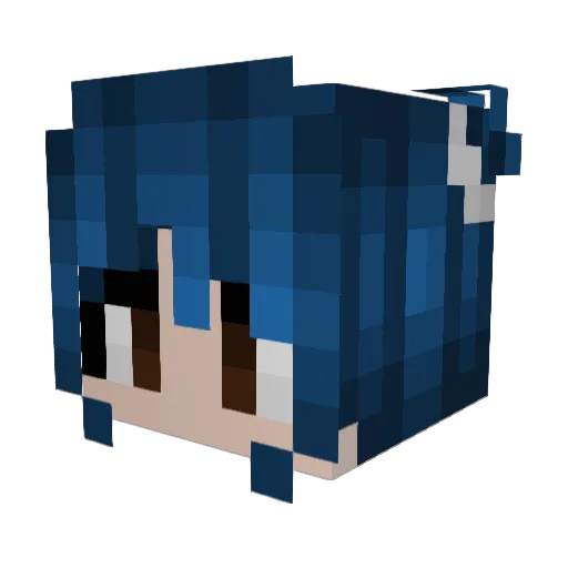 Bee2b1 Minecraft avatar head, 3D render