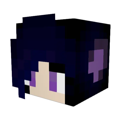 Bee3361 Minecraft avatar head, 3D render