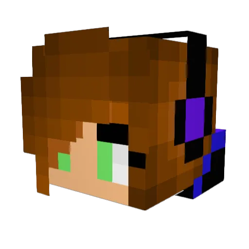 BeeB03 Minecraft avatar head, 3D render