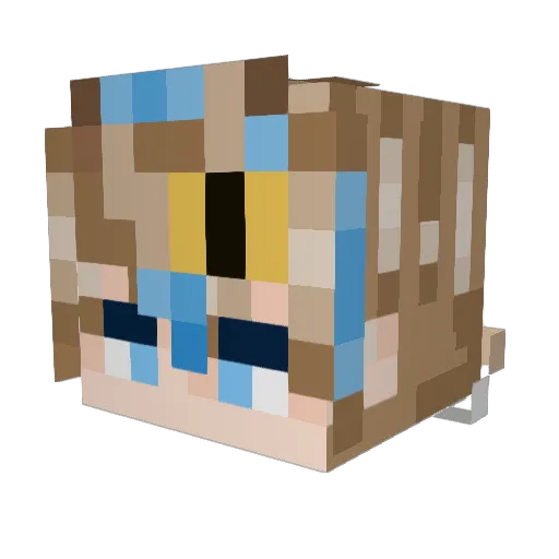 BeeBoi101 Minecraft avatar head, 3D render