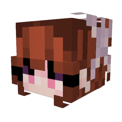BeeBoy976 Minecraft avatar head, 3D render