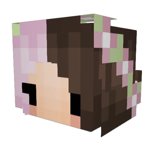 BeeBubbs Minecraft avatar head, 3D render