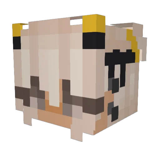 BeeBumb Minecraft avatar head, 3D render