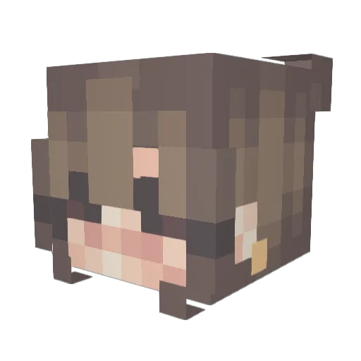 BeeDawn Minecraft avatar head, 3D render