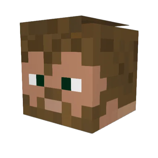 BeeFast03 Minecraft avatar head, 3D render