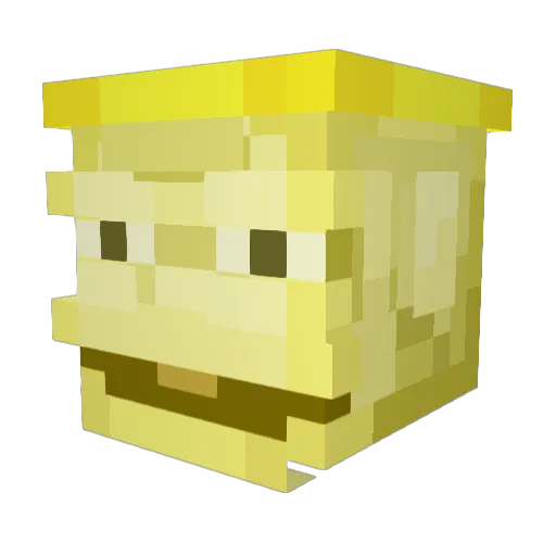 BeeG_FeEt Minecraft avatar head, 3D render