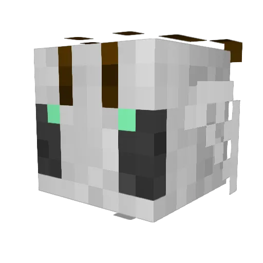 BeeGhost00 Minecraft avatar head, 3D render