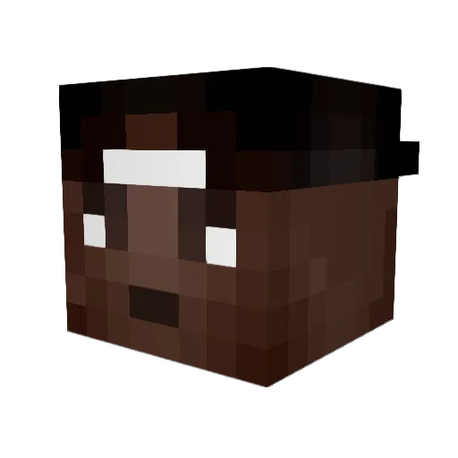BeeJayW Minecraft avatar head, 3D render