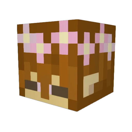 BeeKindaKind Minecraft avatar head, 3D render