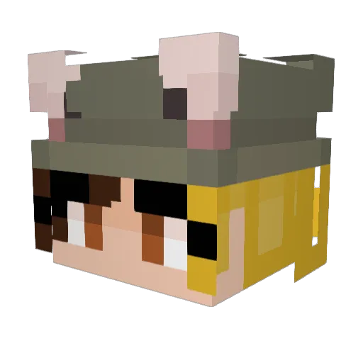 BeeLQw Minecraft avatar head, 3D render
