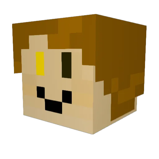 BeeLoverL Minecraft avatar head, 3D render
