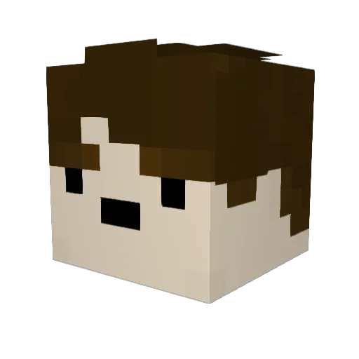 BeeManYTYT Minecraft avatar head, 3D render