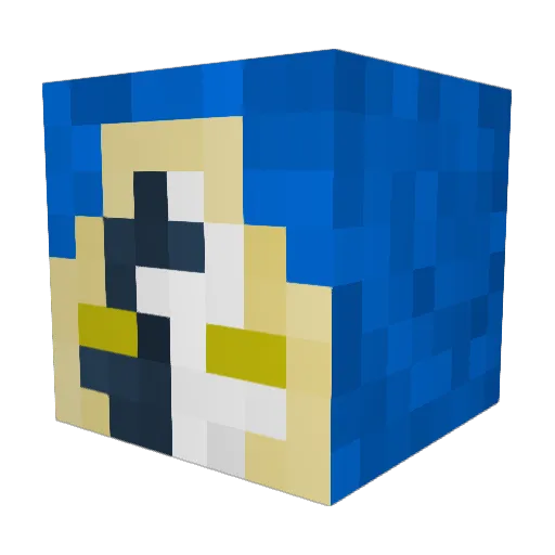 BeeMister4000 Minecraft avatar head, 3D render