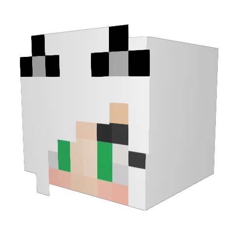 BeeNerdy Minecraft avatar head, 3D render