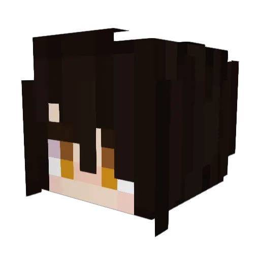 BeeNyc_ Minecraft avatar head, 3D render