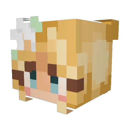 BeePelon Minecraft avatar head, 3D render