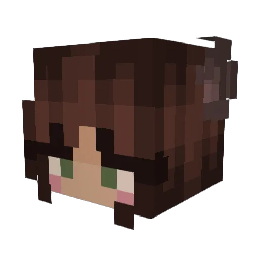 BeeQueen2009 Minecraft avatar head, 3D render