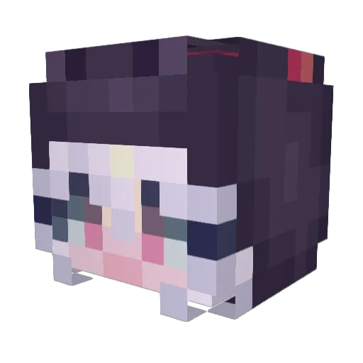 BeeSeaKer Minecraft avatar head, 3D render