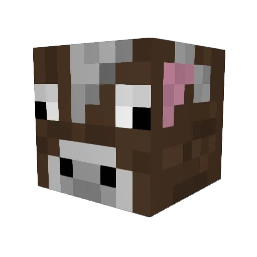 BeeStinger1212 Minecraft avatar head, 3D render