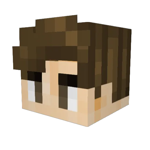 BeeXD Minecraft avatar head, 3D render