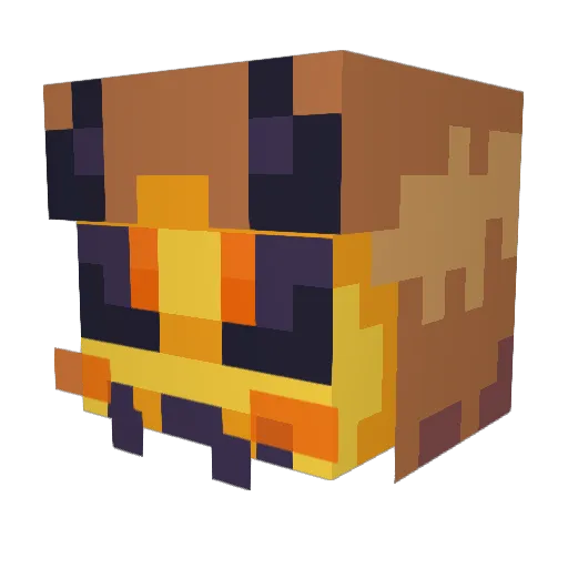 Bee_Boy833 Minecraft avatar head, 3D render