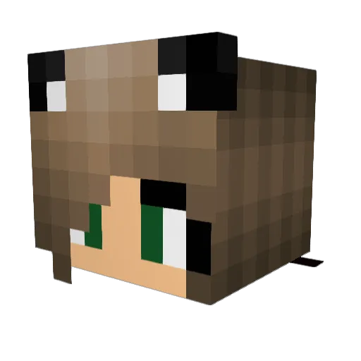 Bee_Eli Minecraft avatar head, 3D render