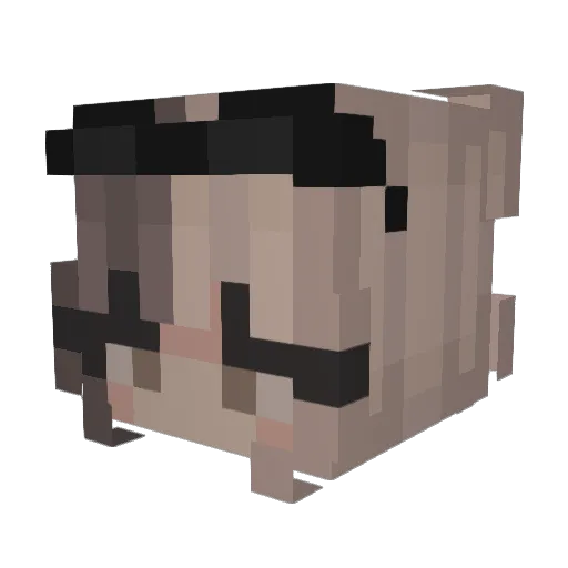 Bee_Girl_1 Minecraft avatar head, 3D render