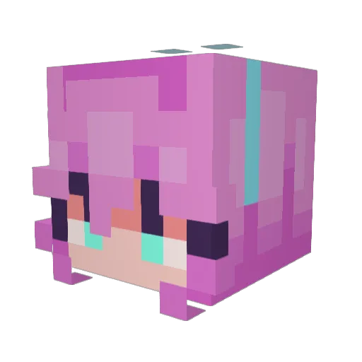 Bee_Lad Minecraft avatar head, 3D render