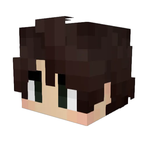 Bee_Shroom1 Minecraft avatar head, 3D render
