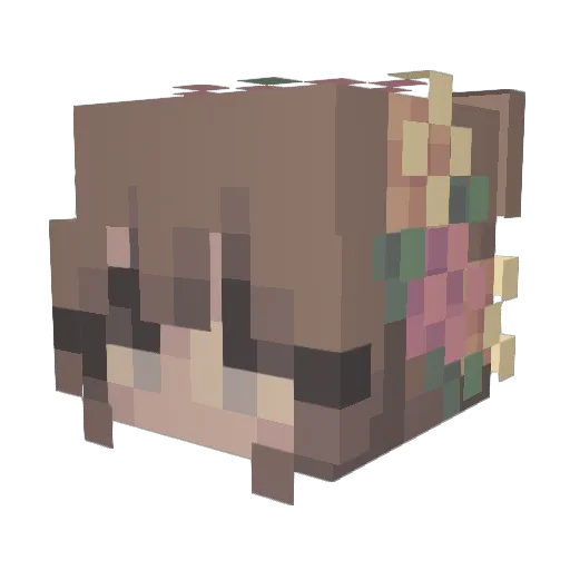 Bee_closeted Minecraft avatar head, 3D render