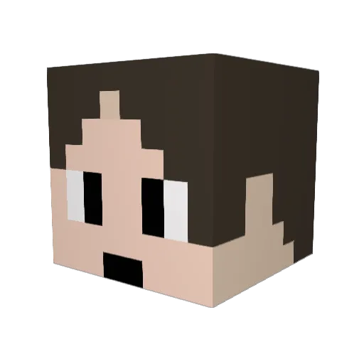 Bee_soushi Minecraft avatar head, 3D render
