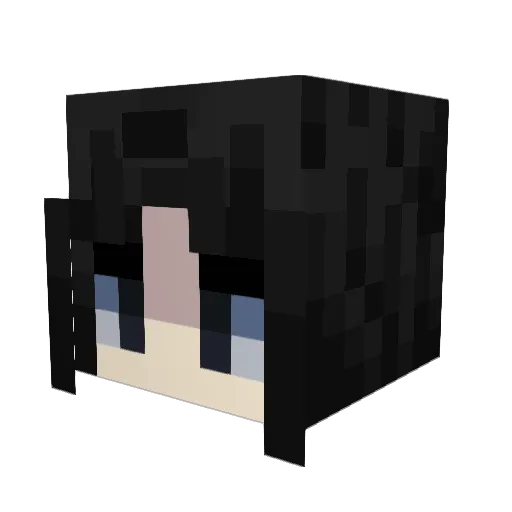 Bee_spi Minecraft avatar head, 3D render