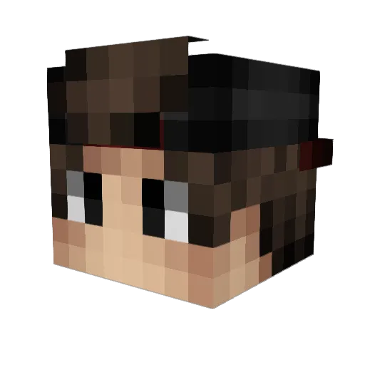 BeeaBee Minecraft avatar head, 3D render