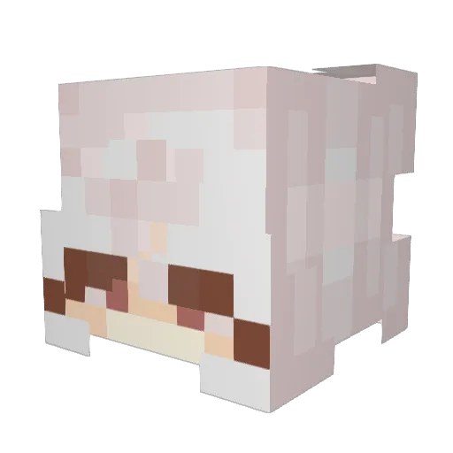 Beean1 Minecraft avatar head, 3D render
