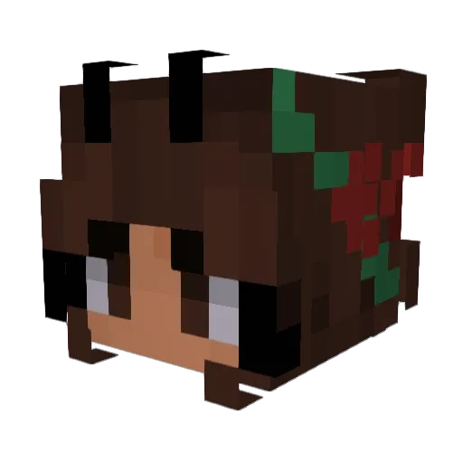 BeebeebeexD Minecraft avatar head, 3D render