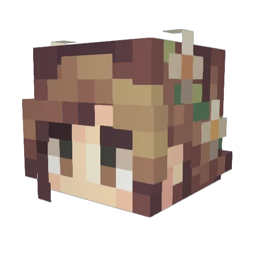Beebleton_ Minecraft avatar head, 3D render