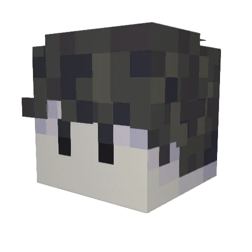 BeeboIdk Minecraft avatar head, 3D render