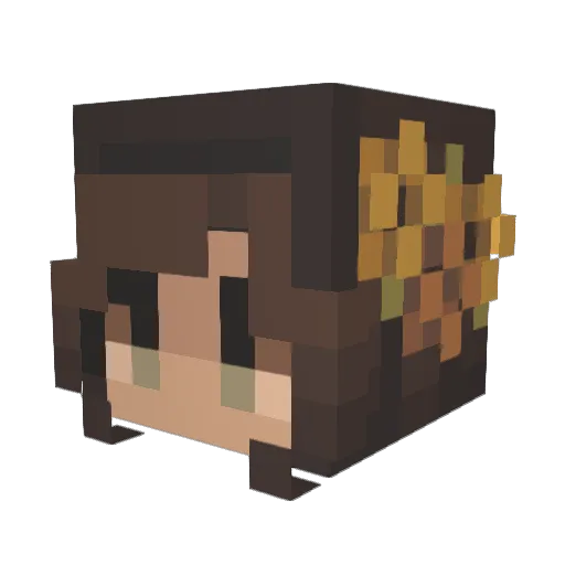 Beebobeebs Minecraft avatar head, 3D render