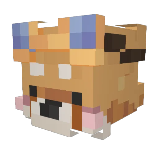 Beebopbo Minecraft avatar head, 3D render
